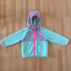 Toddler Girls North Face Hoodie